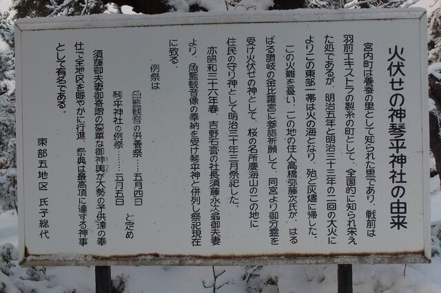 01-DSCF5942.JPG