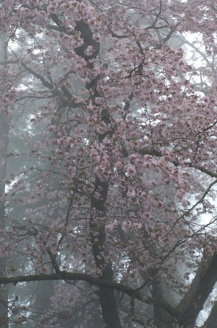 04-DSCF1322.JPG