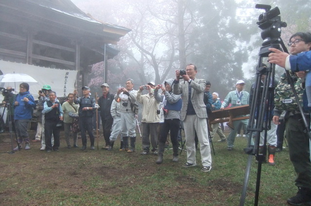 1-DSCF1375.JPG