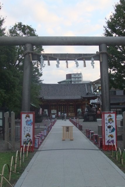 12-DSCF7234.JPG