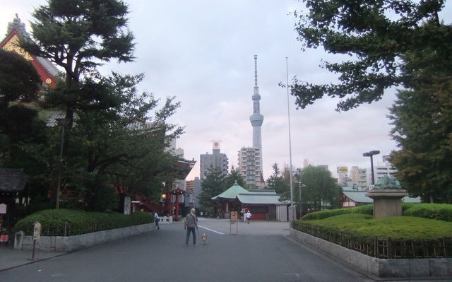 13-DSCF7233.JPG