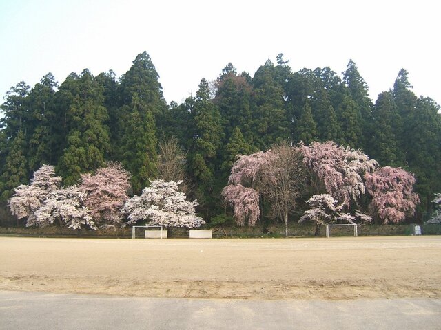 2-12-DSCF0689.jpg