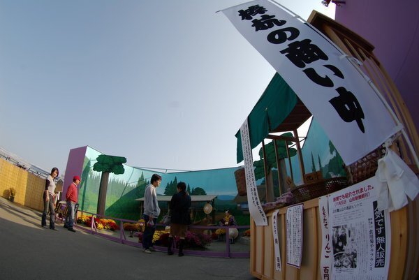 2-28-棒杭.jpg