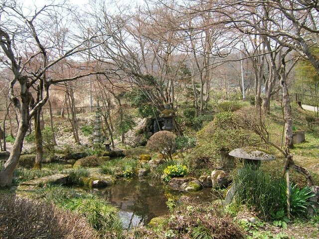 3-DSCF0651.JPG