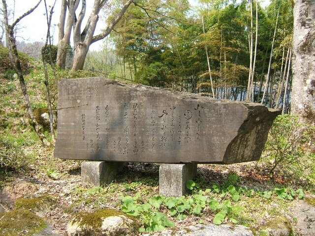 4-DSCF0654.JPG
