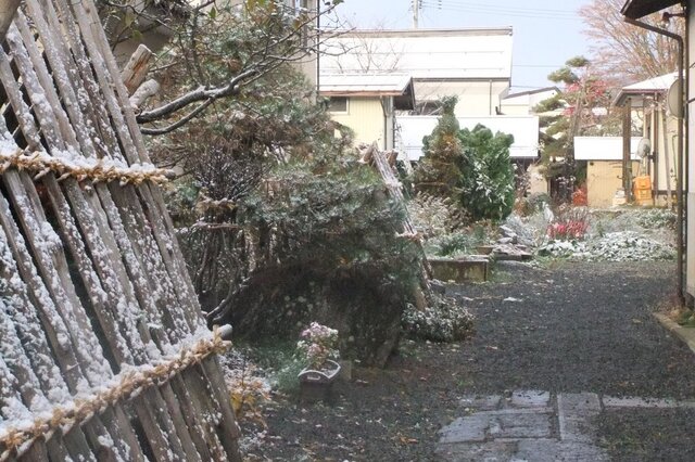 6-DSCF7832.JPG