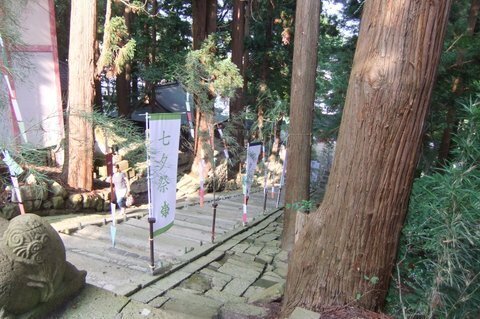 DSCF9915-001.JPG