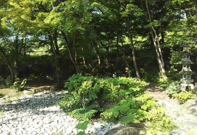 水園いまDSC_1387.jpg