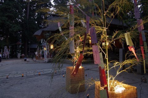 _K509117.JPG